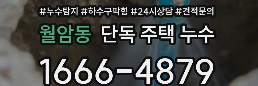 월암동 단독 주택 누수