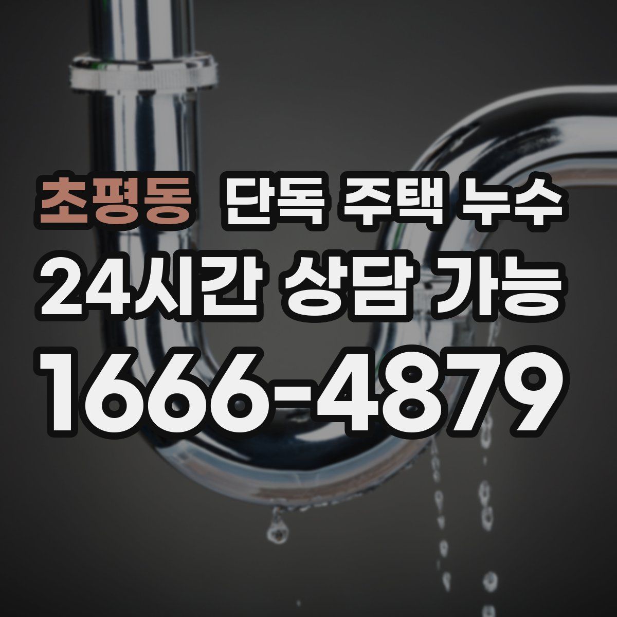 초평동 단독 주택 누수