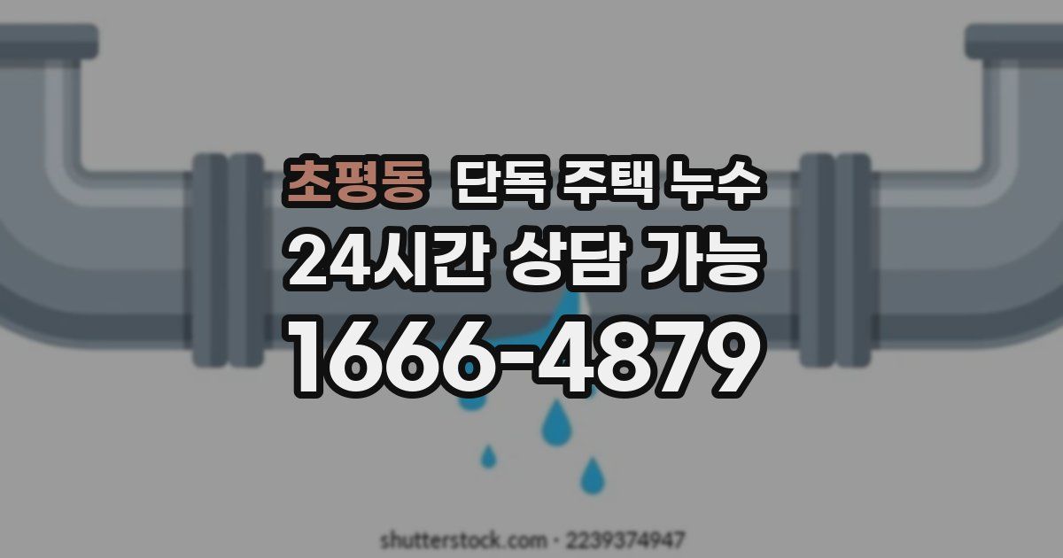 초평동 단독 주택 누수