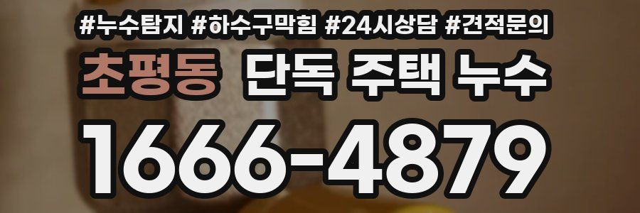 초평동 단독 주택 누수