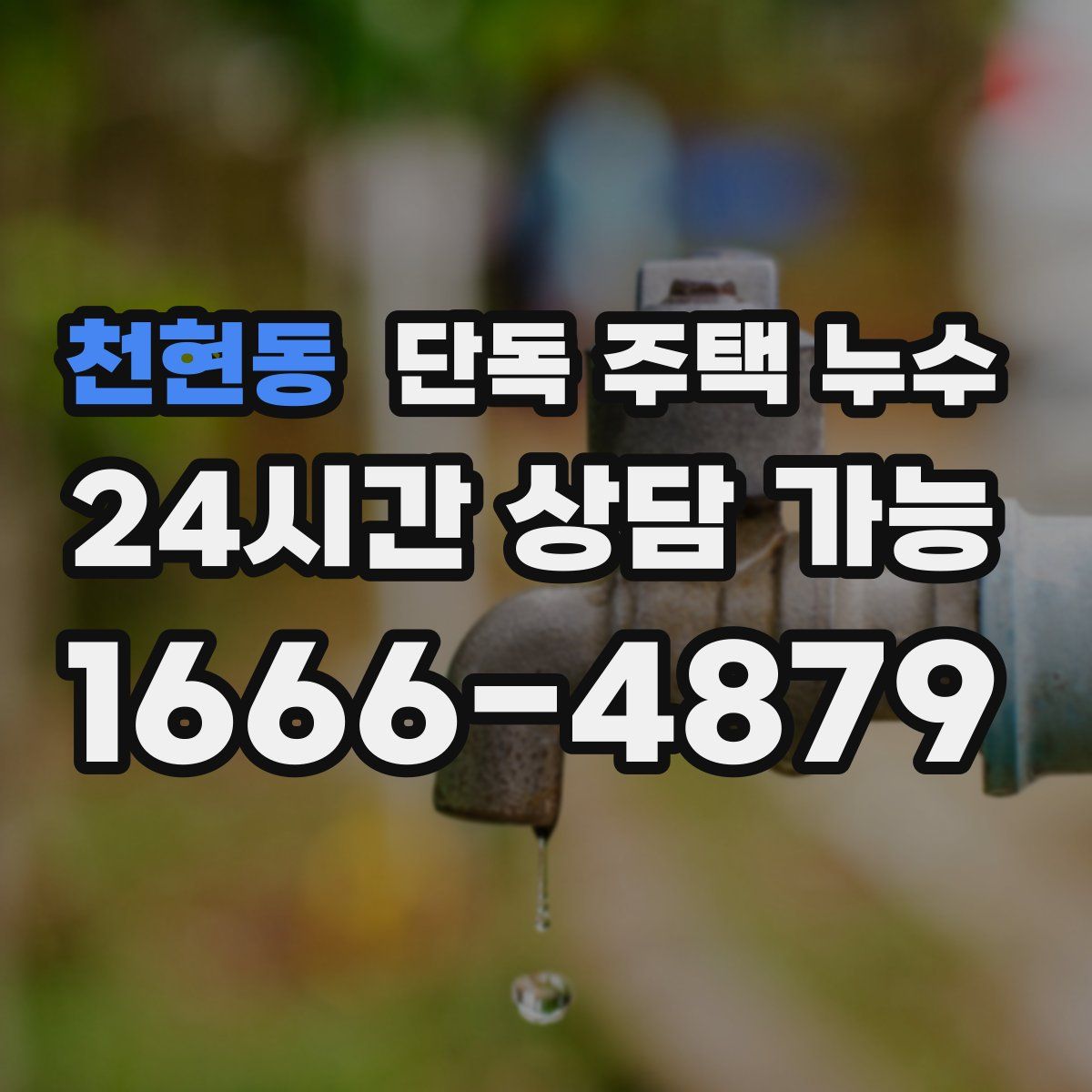 천현동 단독 주택 누수