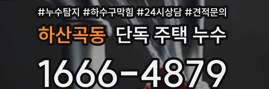 하산곡동 단독 주택 누수