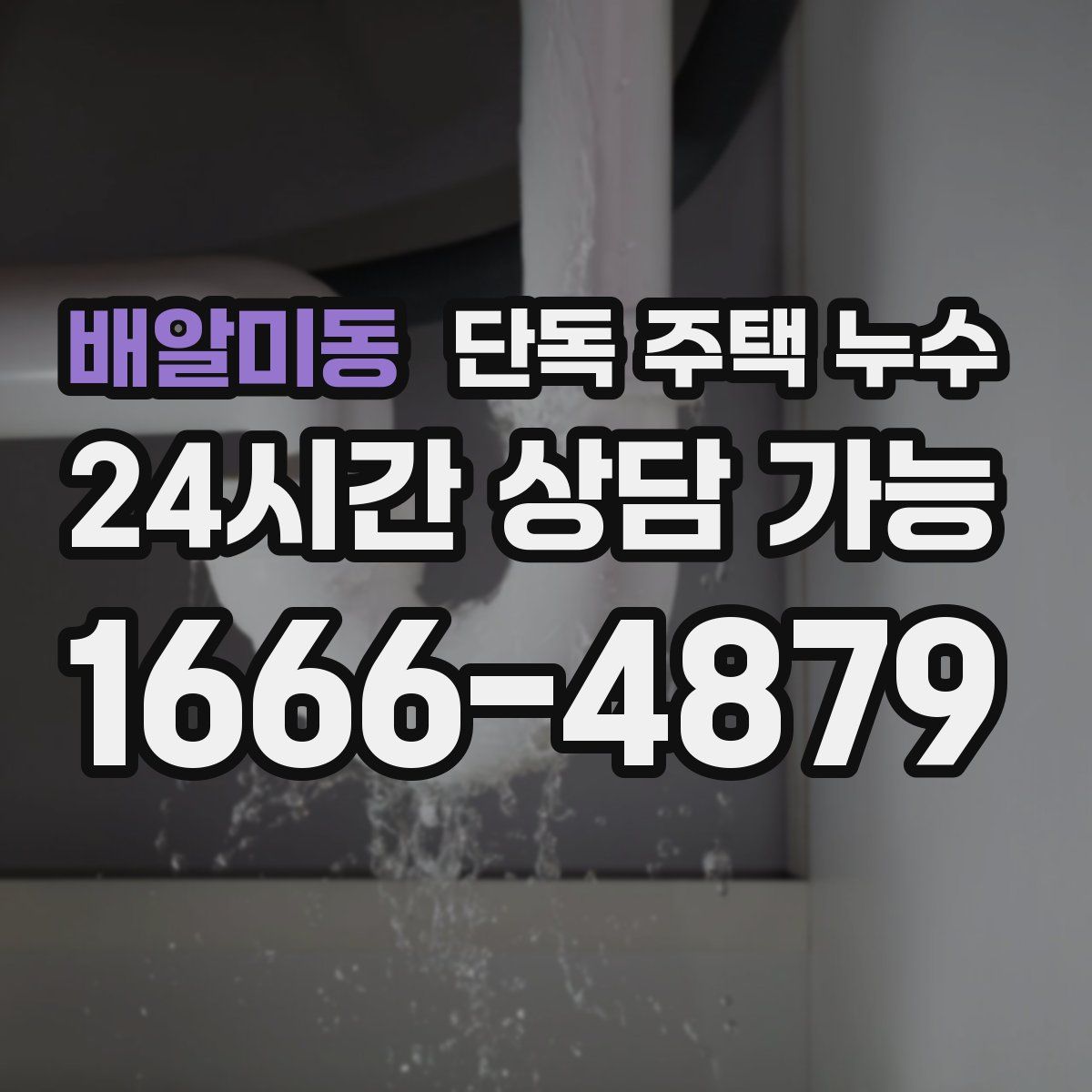 배알미동 단독 주택 누수