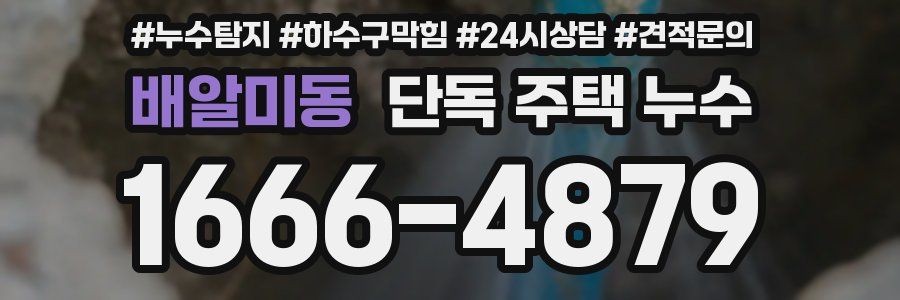 배알미동 단독 주택 누수