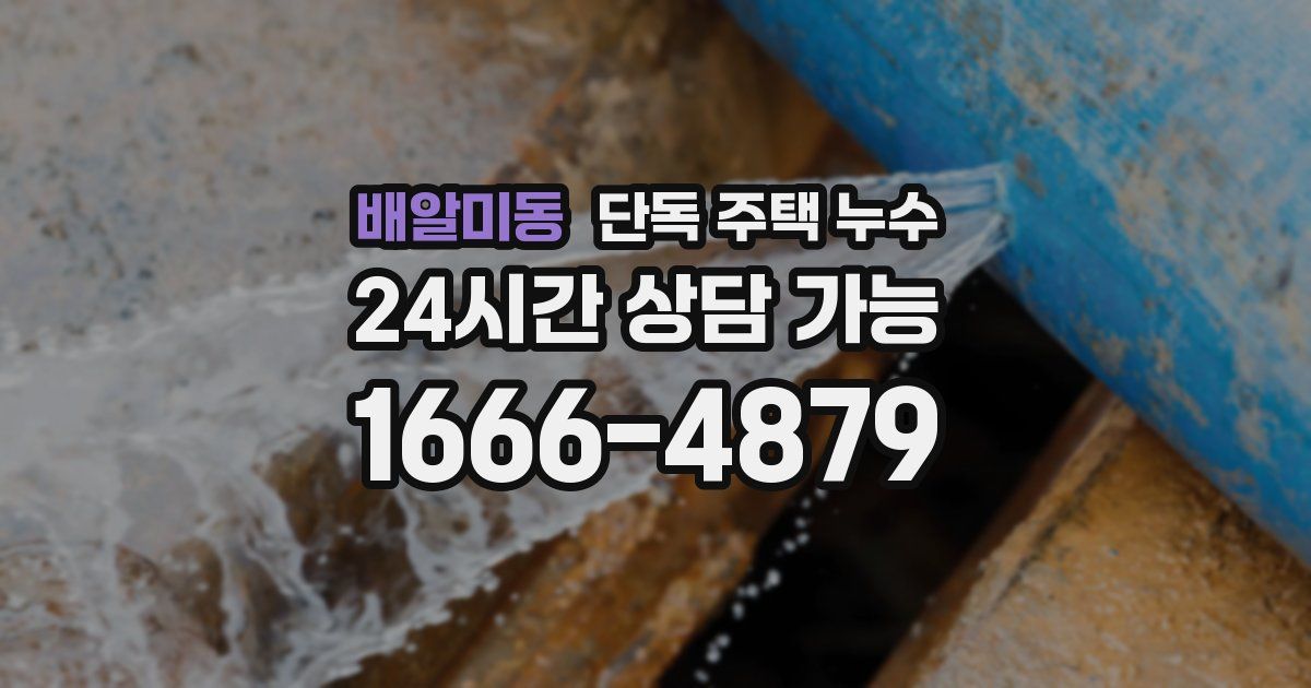 배알미동 단독 주택 누수