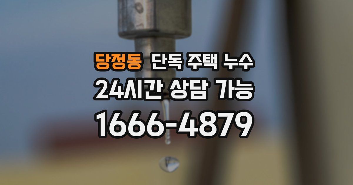 당정동 단독 주택 누수