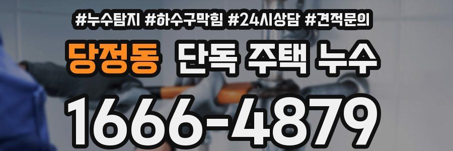 당정동 단독 주택 누수