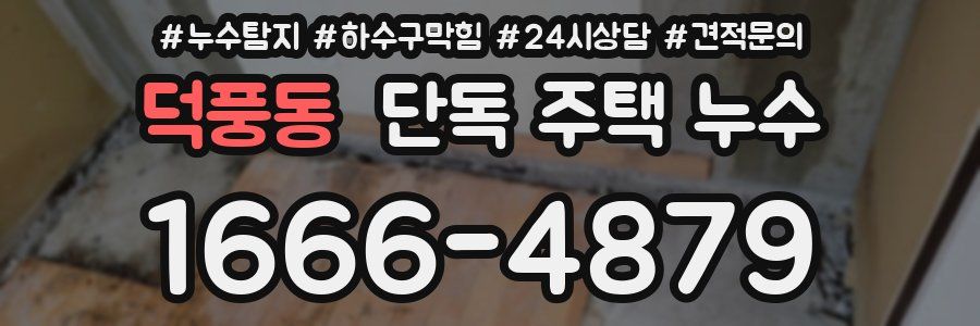 덕풍동 단독 주택 누수