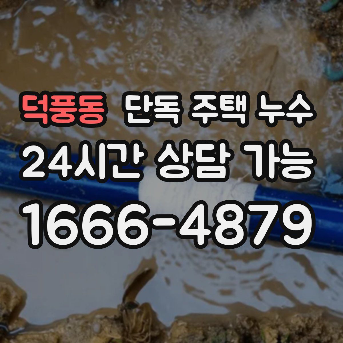 덕풍동 단독 주택 누수