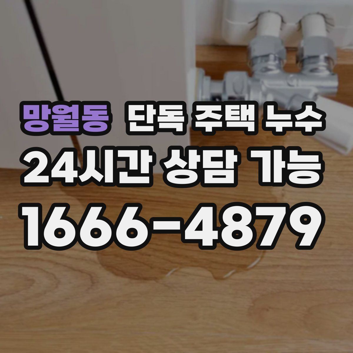망월동 단독 주택 누수 장마 첫비에 바로 생기는 누수의 특징