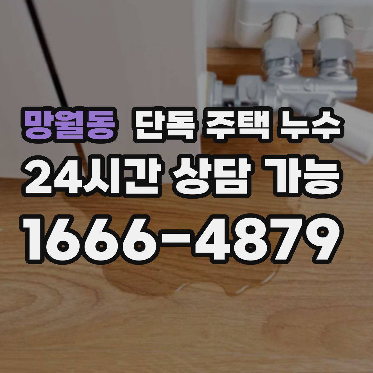 망월동 단독 주택 누수