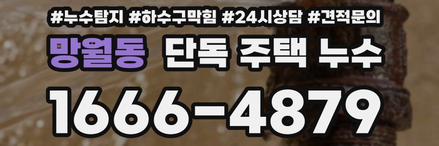 망월동 단독 주택 누수