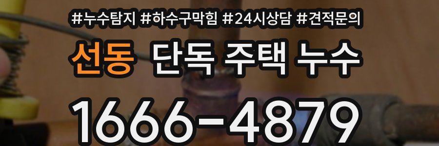 선동 단독 주택 누수