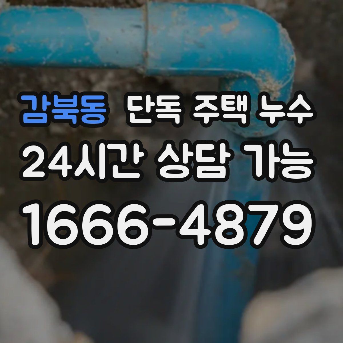 감북동 단독 주택 누수 마당 경사와 배수 불량이 원인일 때