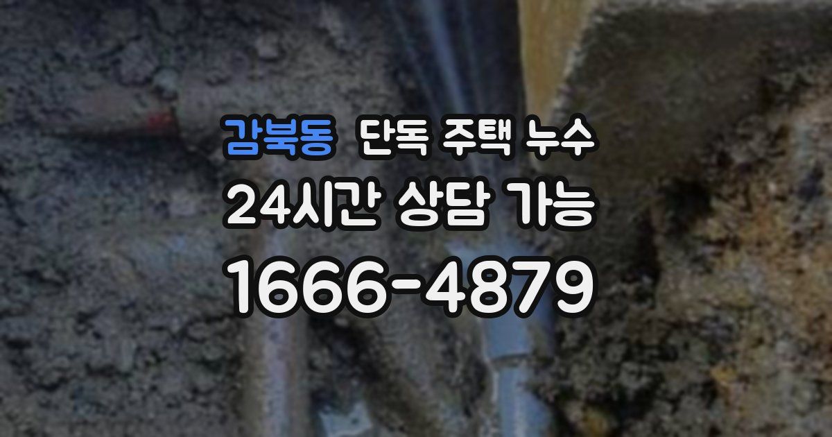 감북동 단독 주택 누수