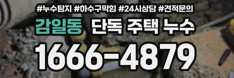 감일동 단독 주택 누수