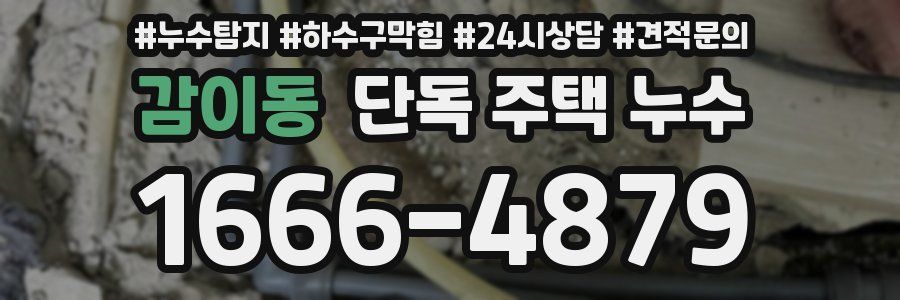 감이동 단독 주택 누수