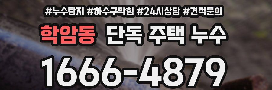 학암동 단독 주택 누수