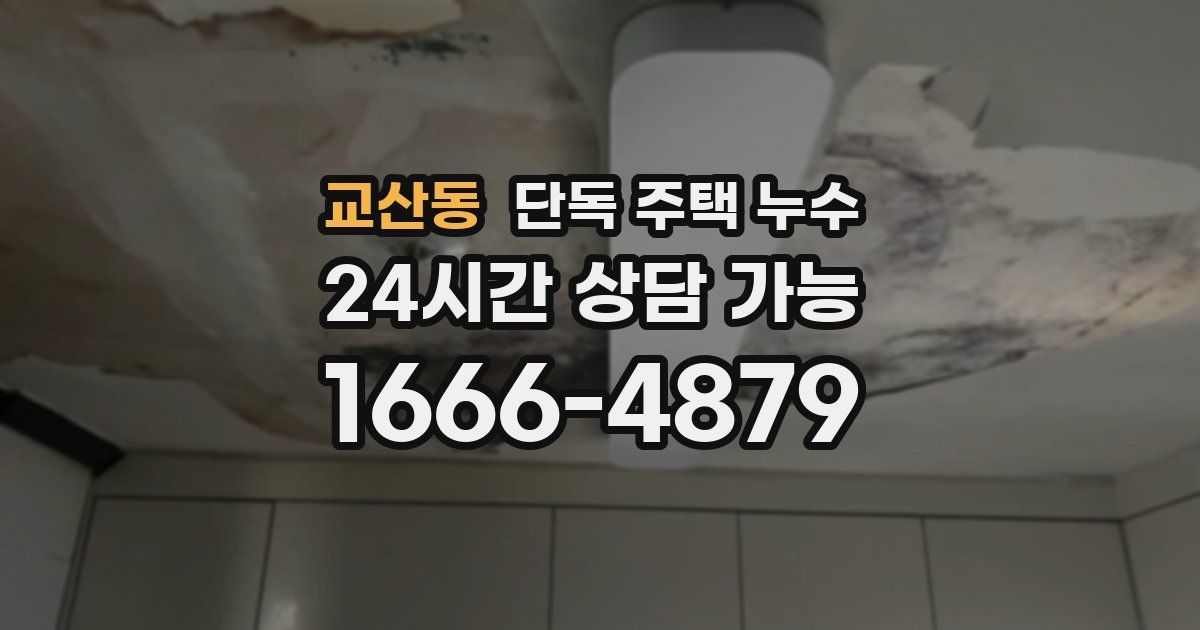 교산동 단독 주택 누수