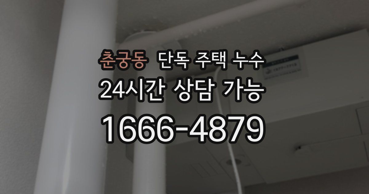 춘궁동 단독 주택 누수