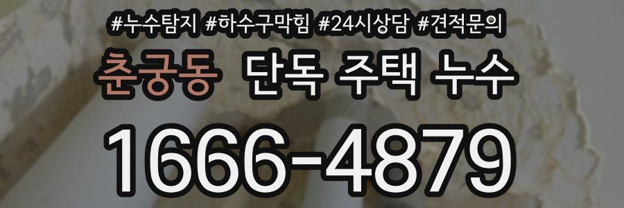 춘궁동 단독 주택 누수