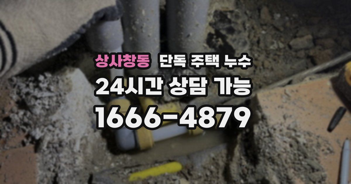 상사창동 단독 주택 누수