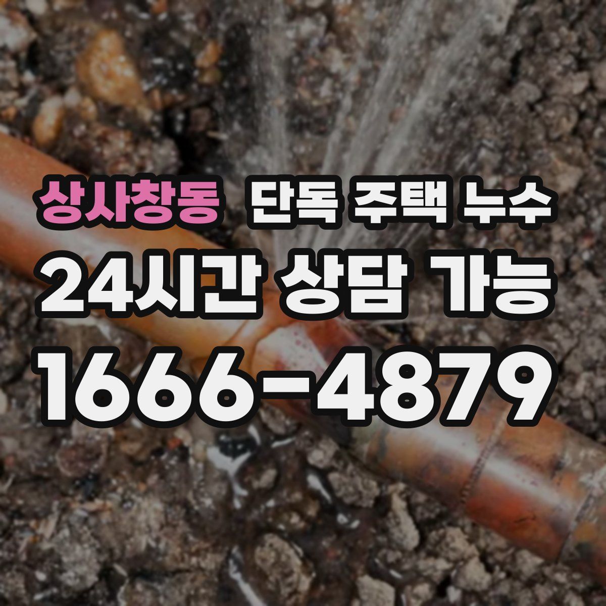 상사창동 단독 주택 누수