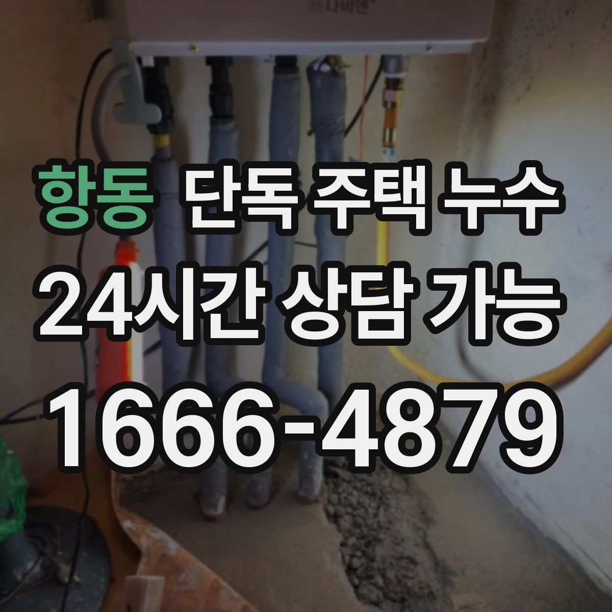 항동 단독 주택 누수