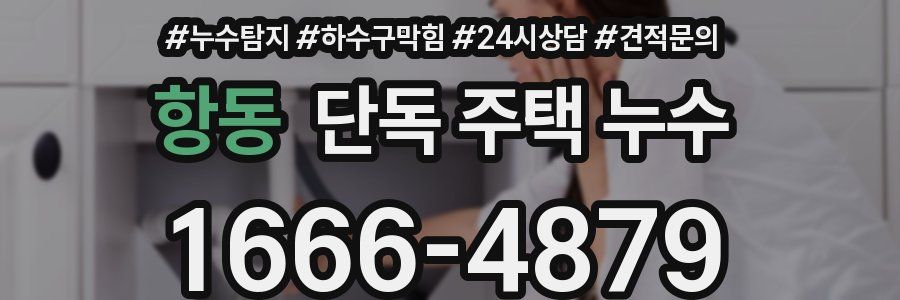 항동 단독 주택 누수