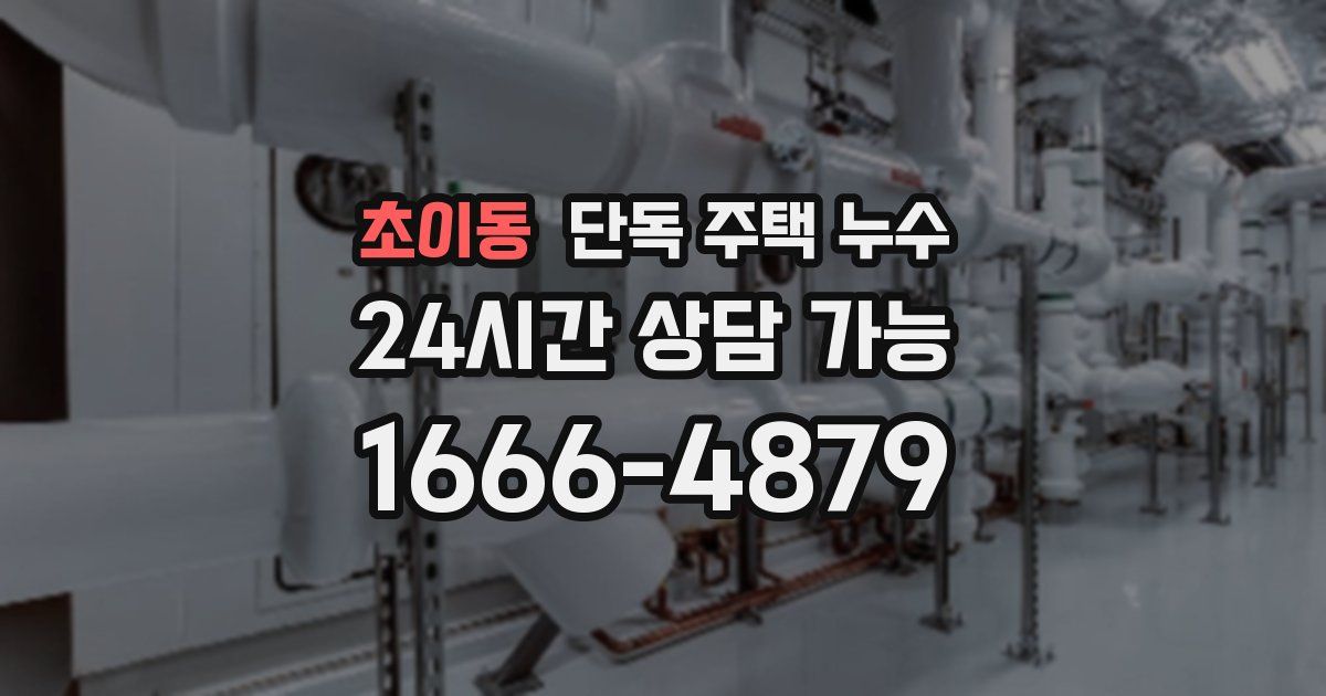 초이동 단독 주택 누수