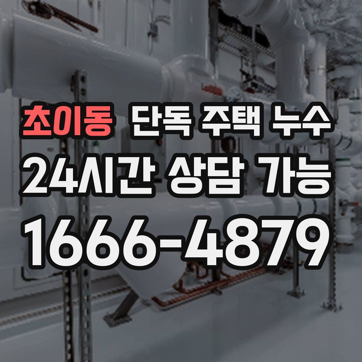 초이동 단독 주택 누수