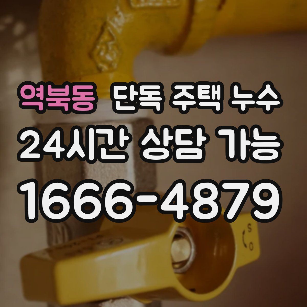 역북동 단독 주택 누수 세면대 밑에서만 냄새가 날 때 누수 의심