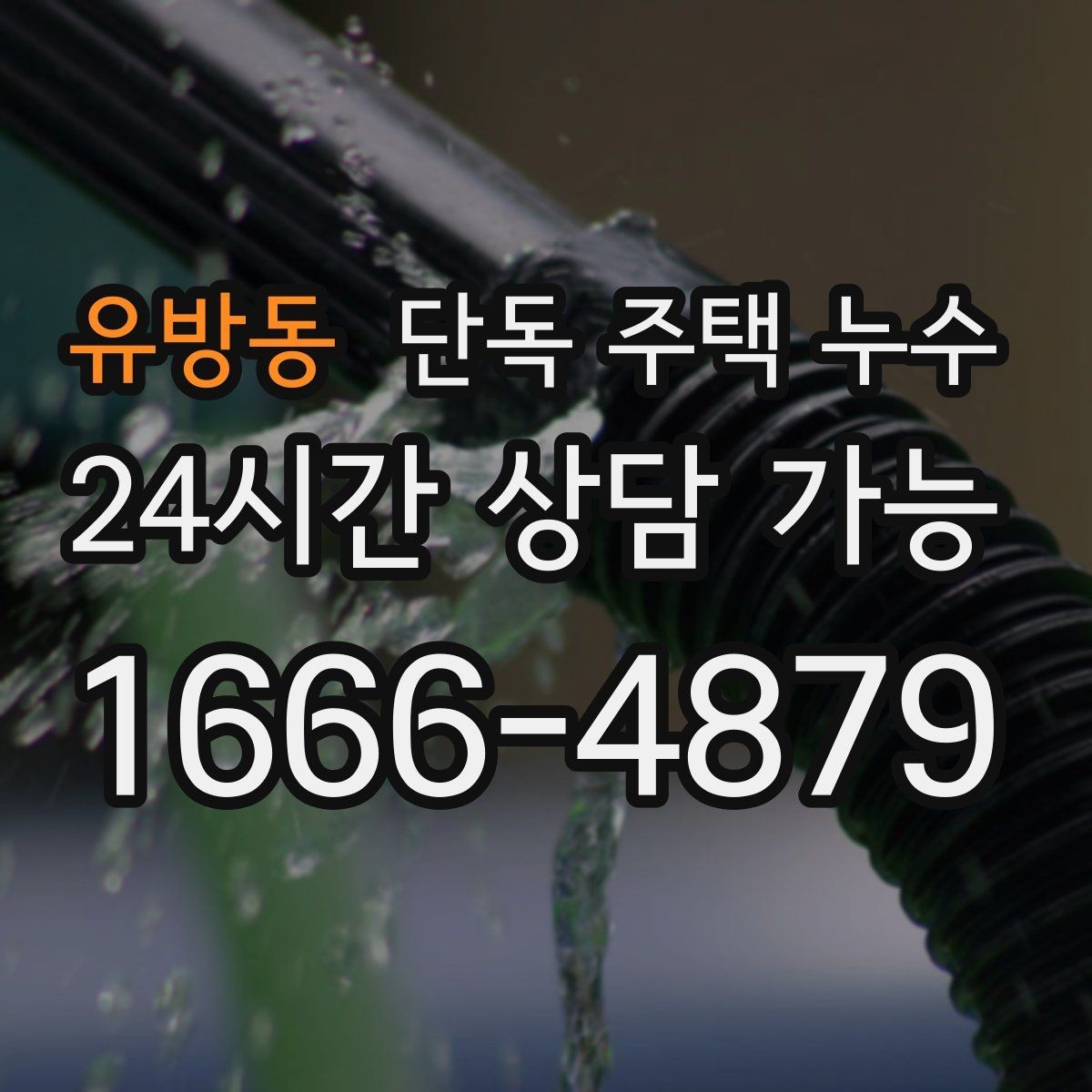 유방동 단독 주택 누수 외벽 타공 부위에서 물이 타고 들어올 때