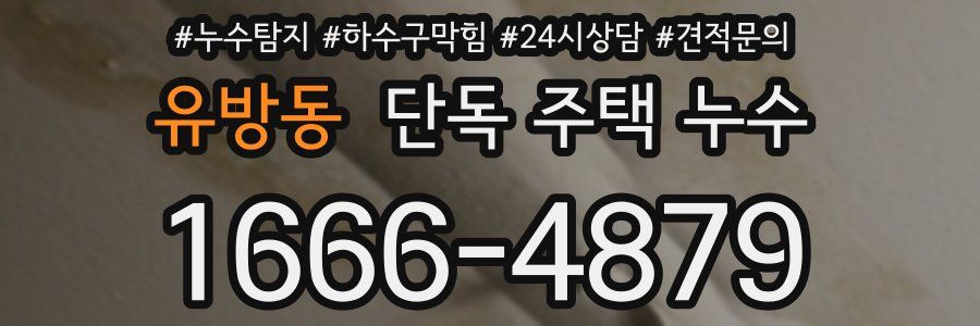 유방동 단독 주택 누수
