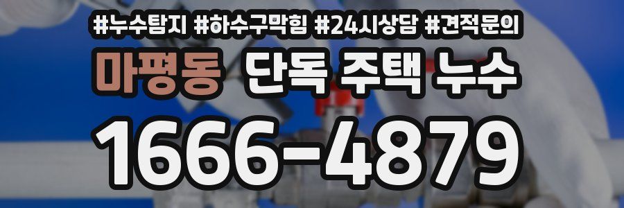 마평동 단독 주택 누수