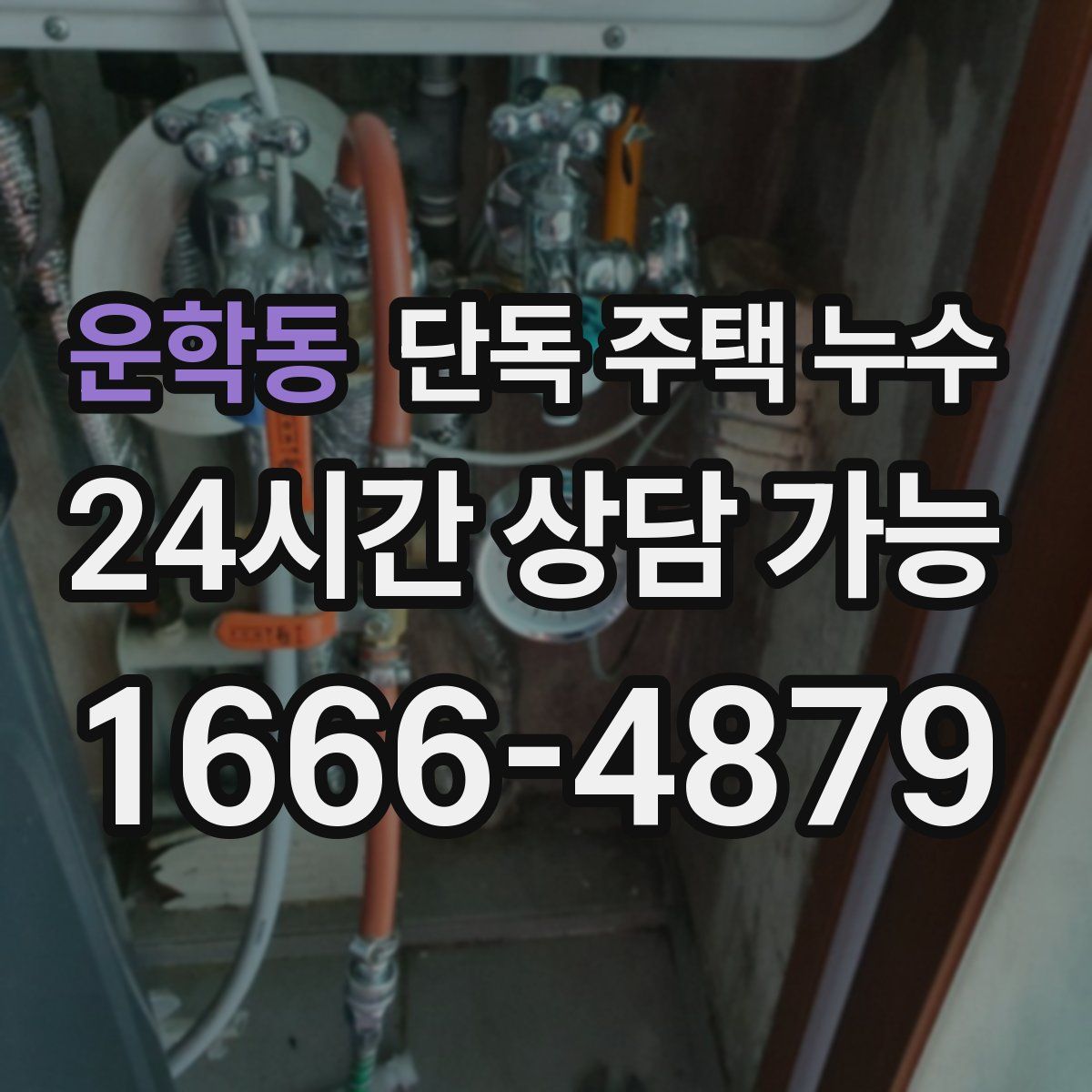 운학동 단독 주택 누수