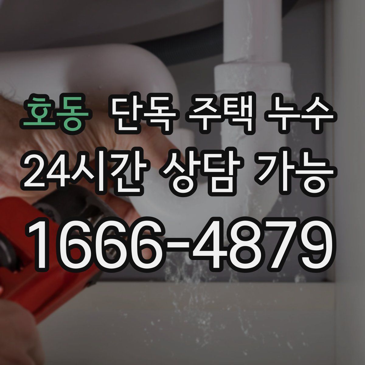 호동 단독 주택 누수