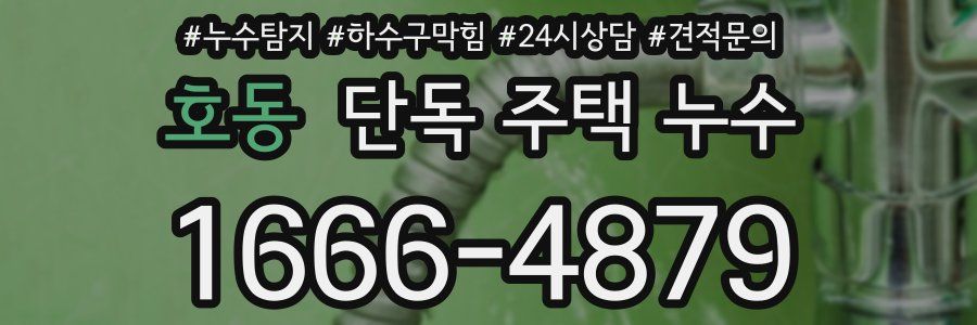 호동 단독 주택 누수