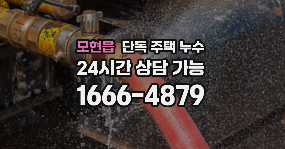 모현읍 단독 주택 누수