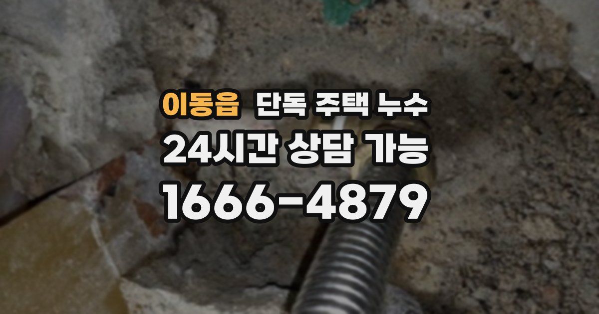 이동읍 단독 주택 누수