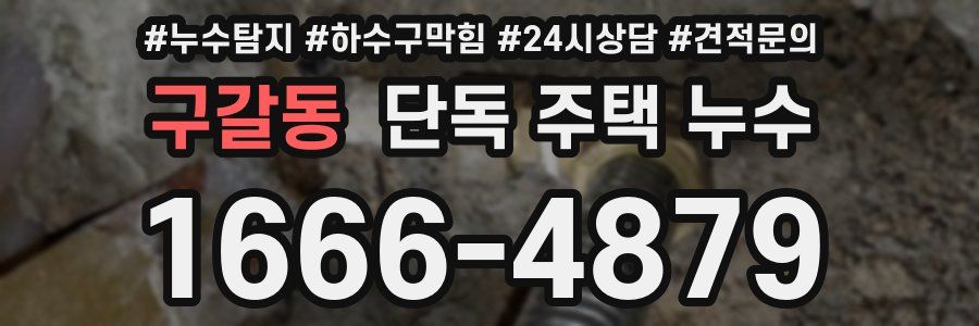 구갈동 단독 주택 누수