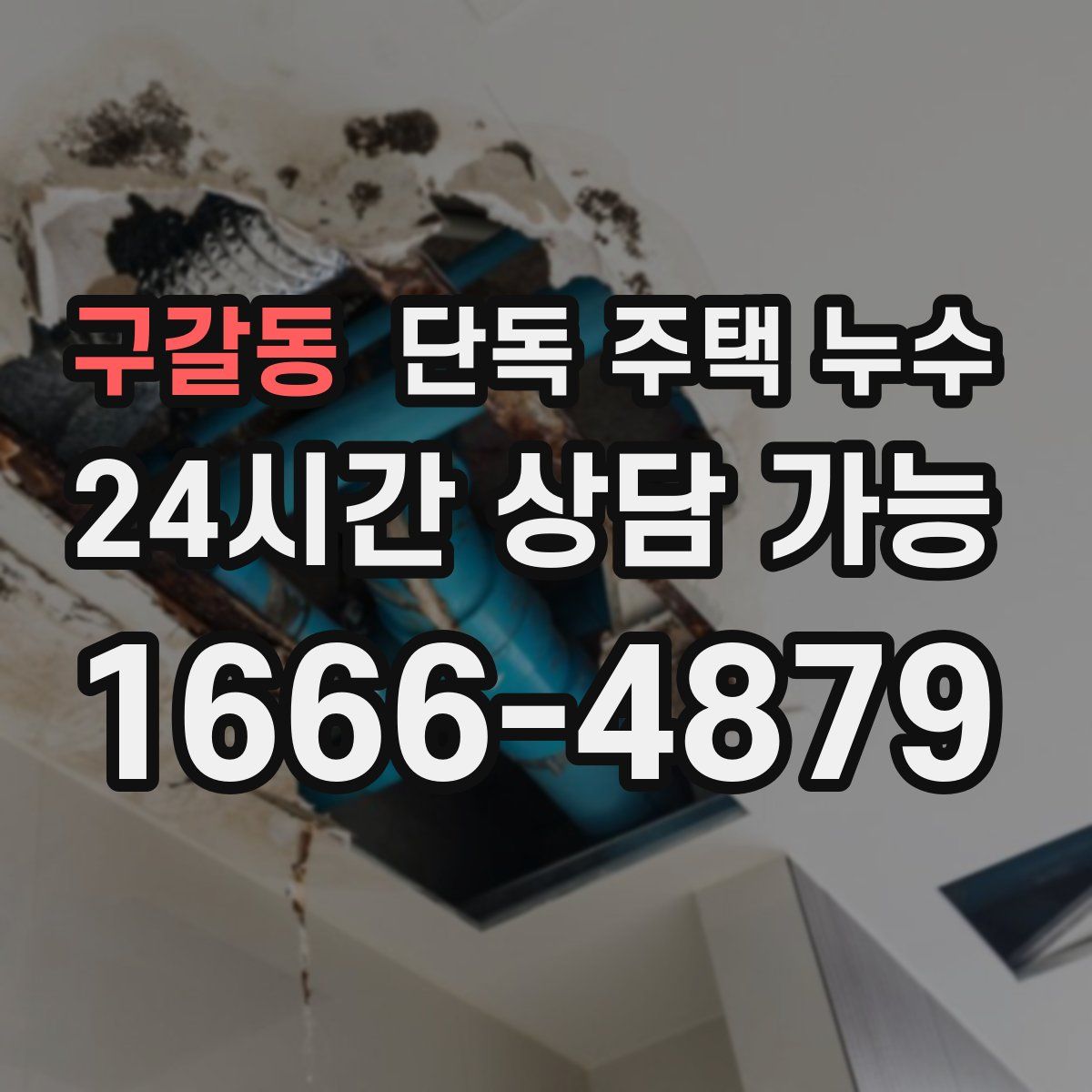 구갈동 단독 주택 누수