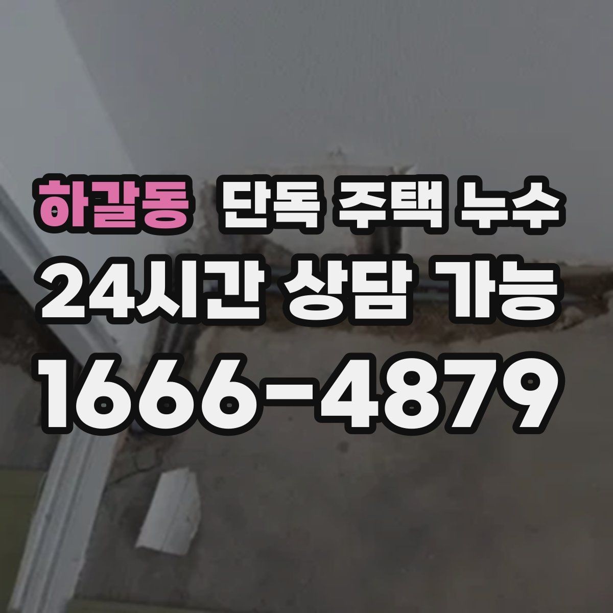 하갈동 단독 주택 누수 마당 물이 집 쪽으로 모일 때 위험 신호