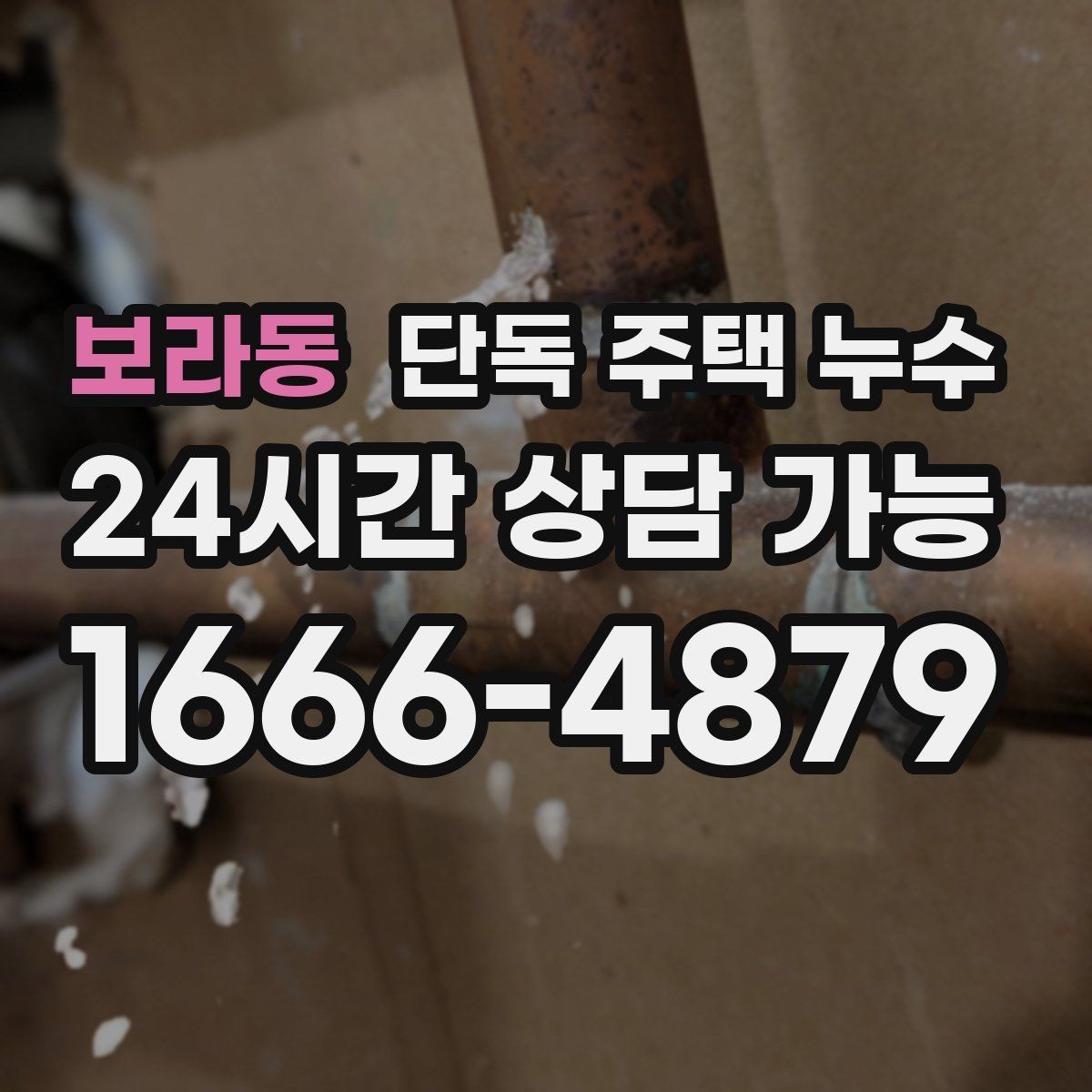 보라동 단독 주택 누수 비가 오자마자 얼룩이 번질 때 원인 추정