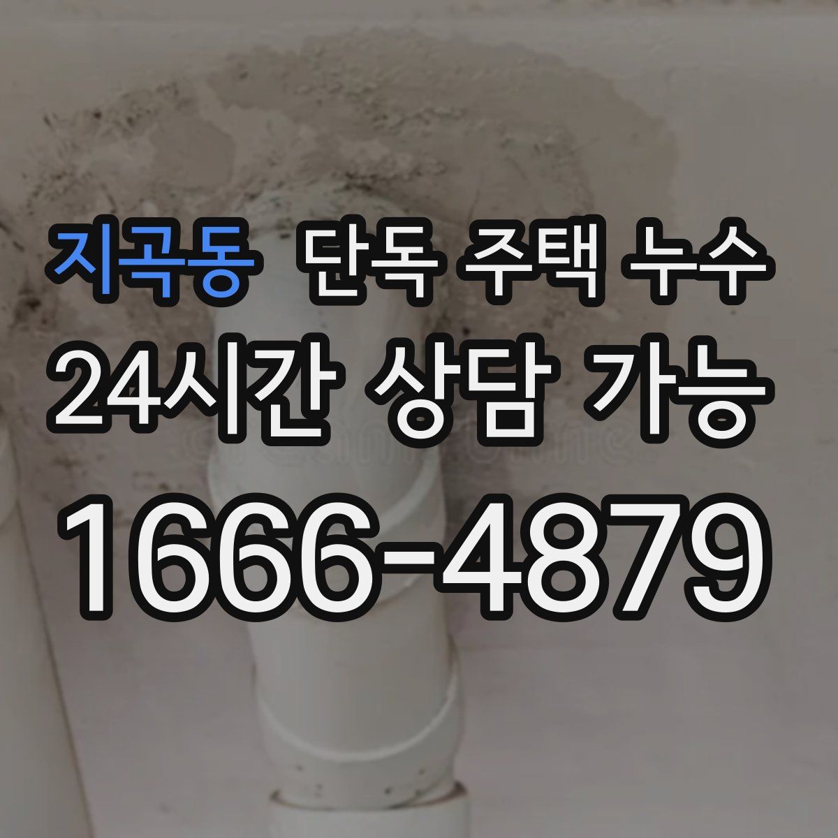 지곡동 단독 주택 누수