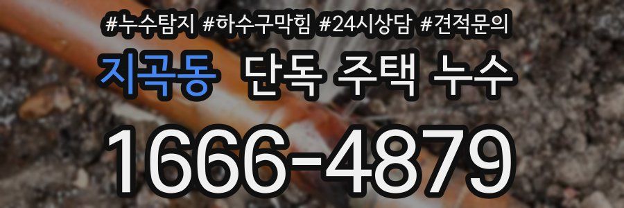 지곡동 단독 주택 누수