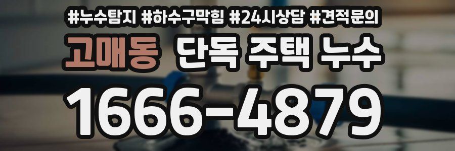 고매동 단독 주택 누수