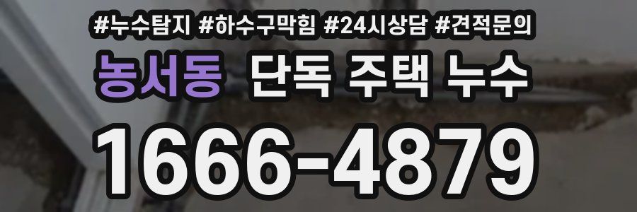 농서동 단독 주택 누수