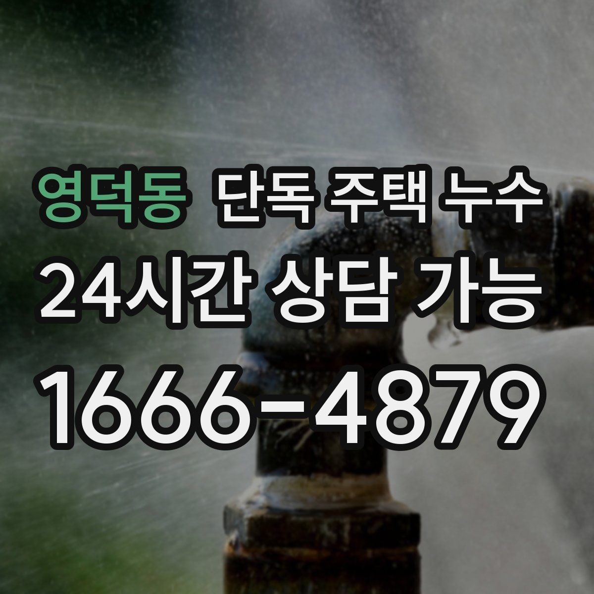 영덕동 단독 주택 누수 햇빛이 강한 날에도 벽이 축축한 이유