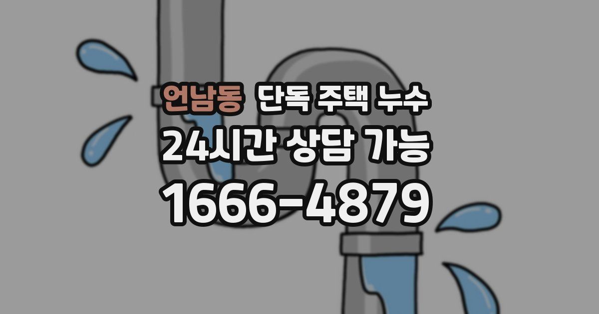 언남동 단독 주택 누수